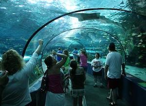 Myrtle Beach Aquarium